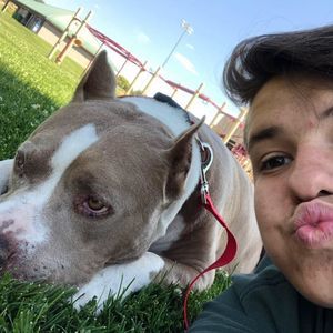 Meet your Posher, Hayden